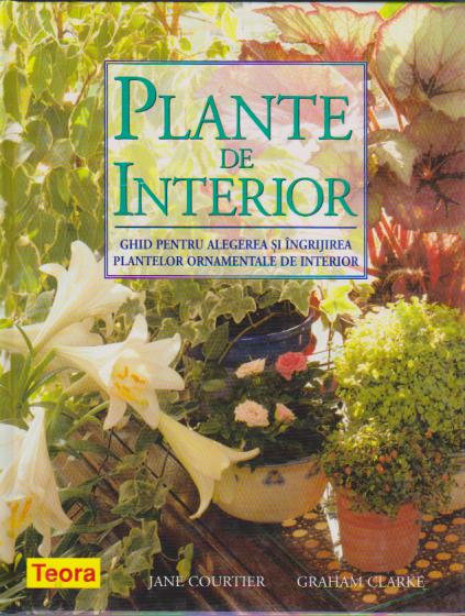 UZATA - Plante de interior - Ghid pentru alegerea si ingrijirea plantelor de interior