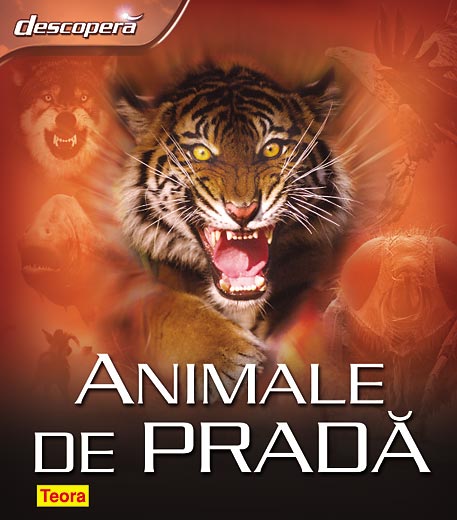 Descopera animale de prada - pagini cartonate 2010 __